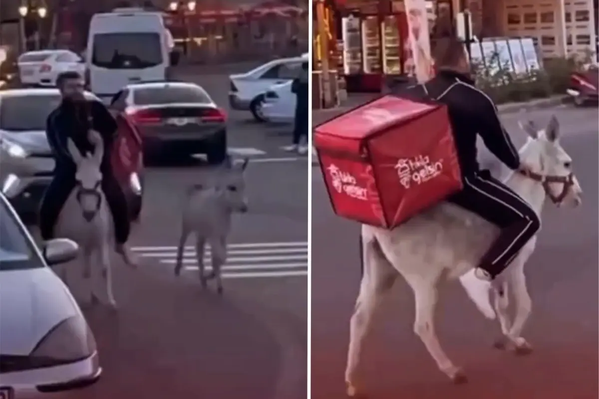 İzmirli kuryeden trafikte akılalmaz hamle, ehliyeti elden gidince eşeği kullandı