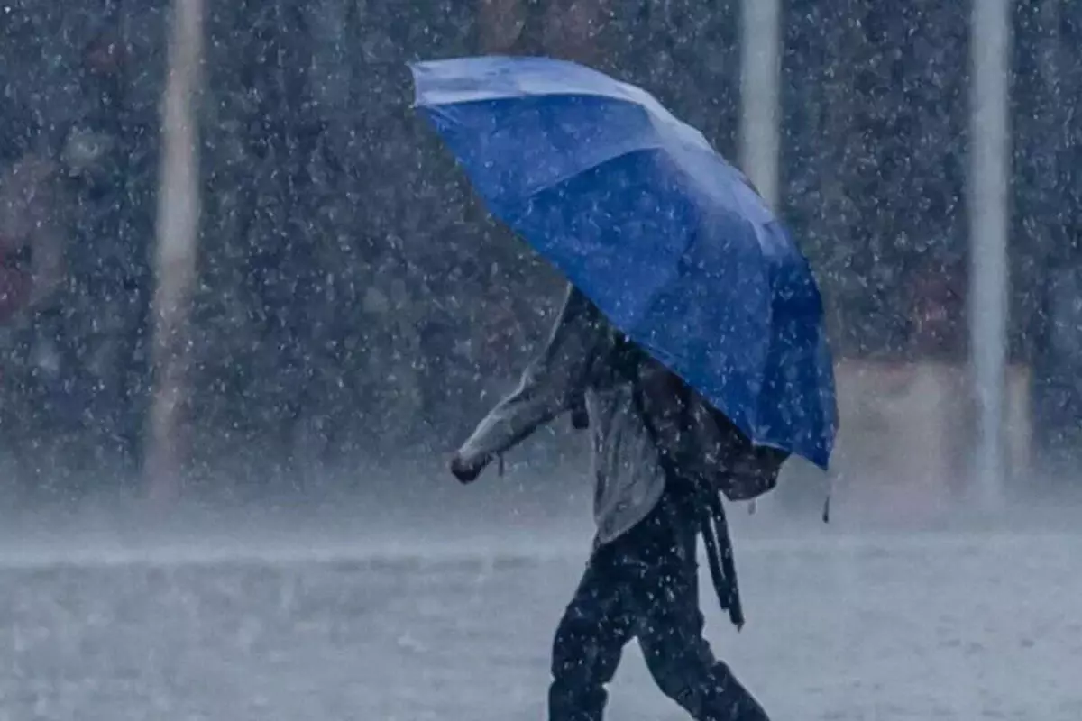 Muğla'da eğitime hava engeli, Bodrum ve Milas'ta bir günlük tatil