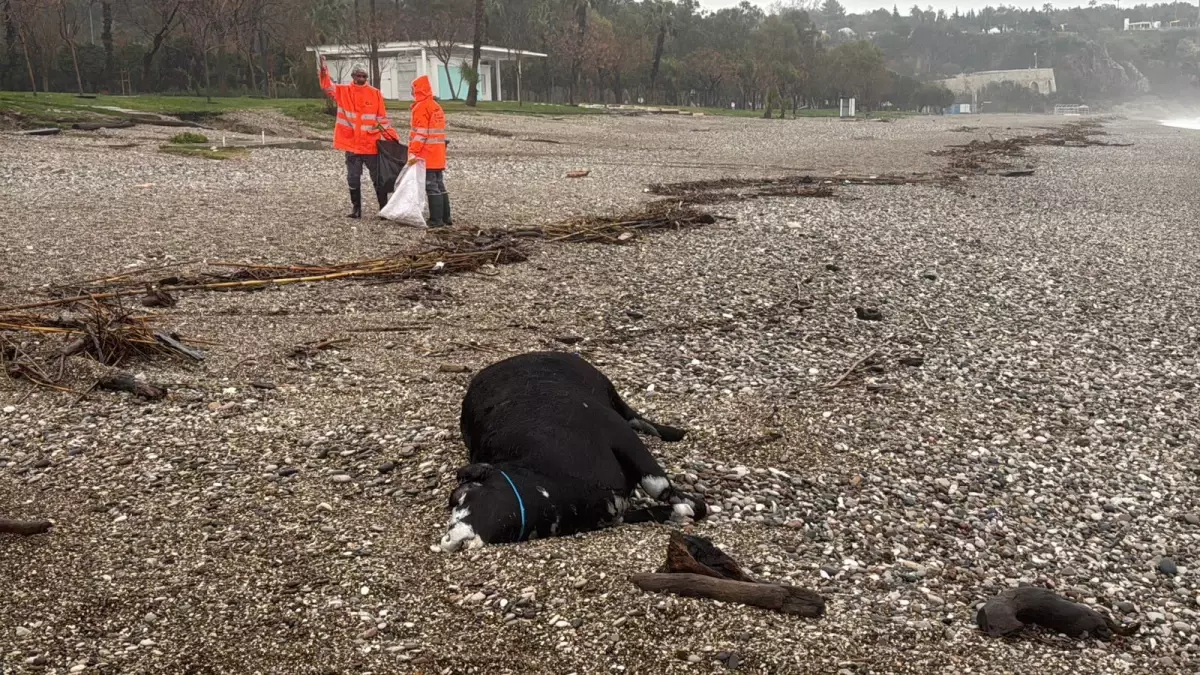 Antalya\'da Sel Felaketi