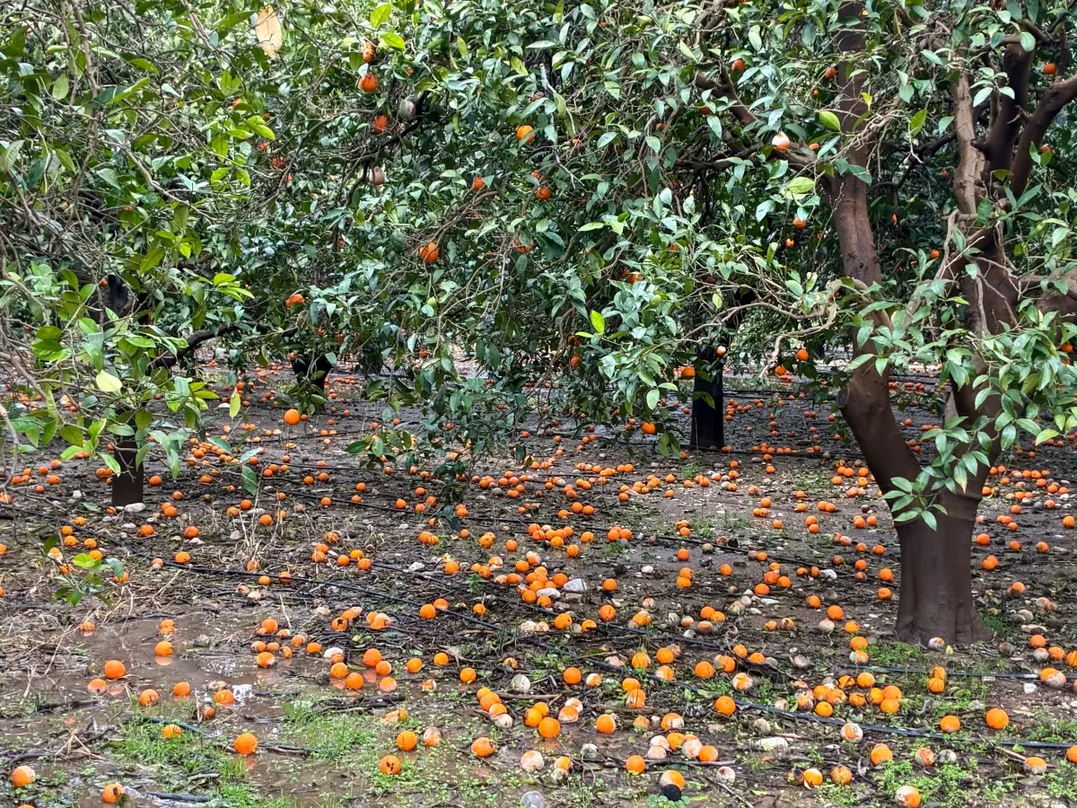 Antalya\'da sağanak yağış hayatı olumsuz etkiledi