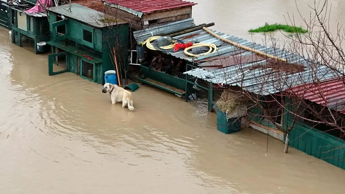 İzmir\'de Şiddetli Yağışa Müdahale