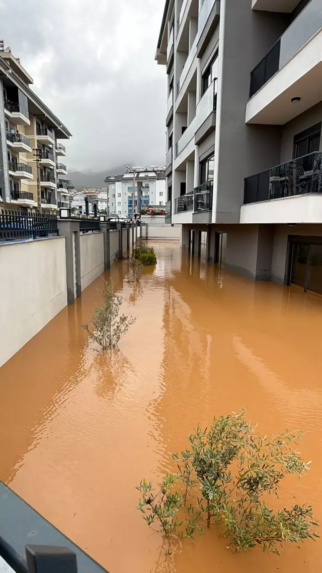 Kenti sel aldı, dünyaca ünlü sahilde kıyıya dana vurdu