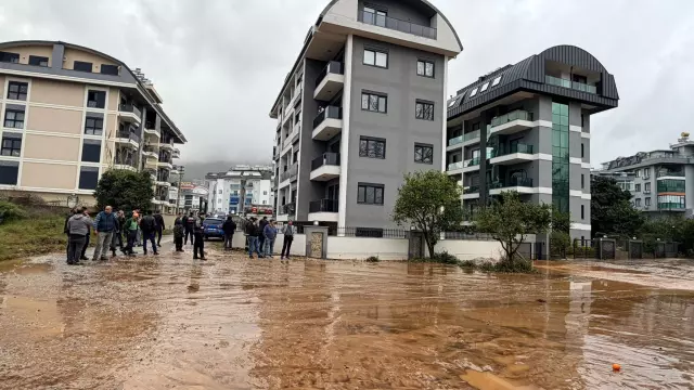 Kenti sel aldı, dünyaca ünlü sahilde kıyıya dana vurdu