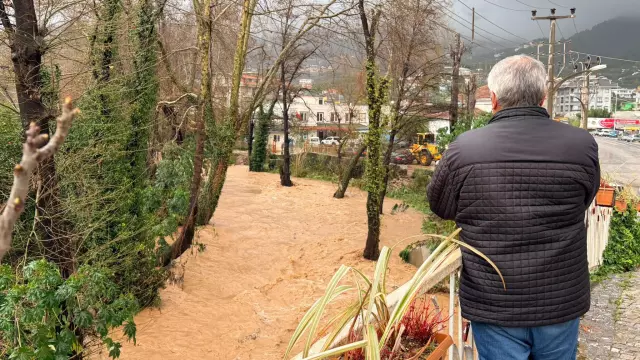 Kenti sel aldı, dünyaca ünlü sahilde kıyıya dana vurdu