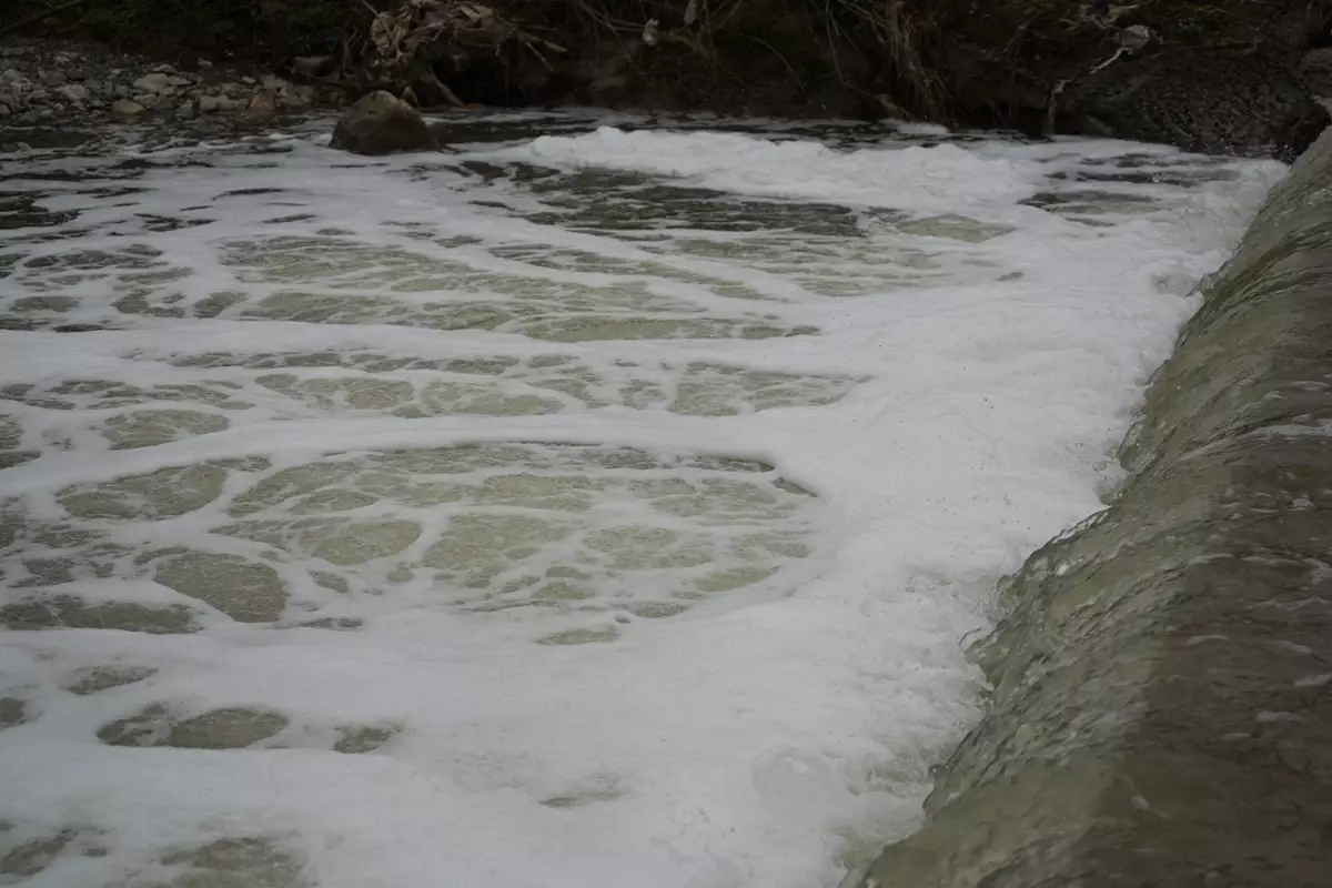 Köpüren dereden ağır kokular yükseliyor