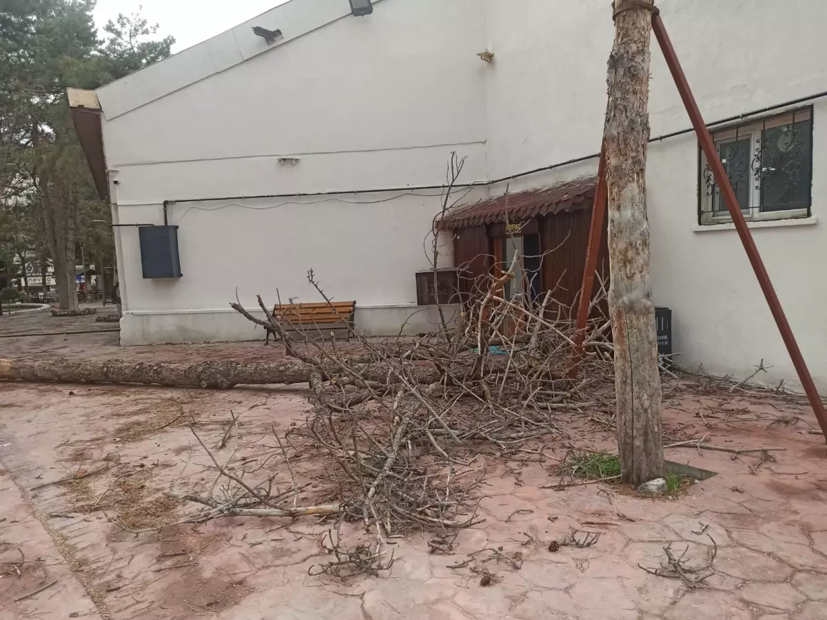 Nevşehir\'de Fırtına Ağaçları Devrildi