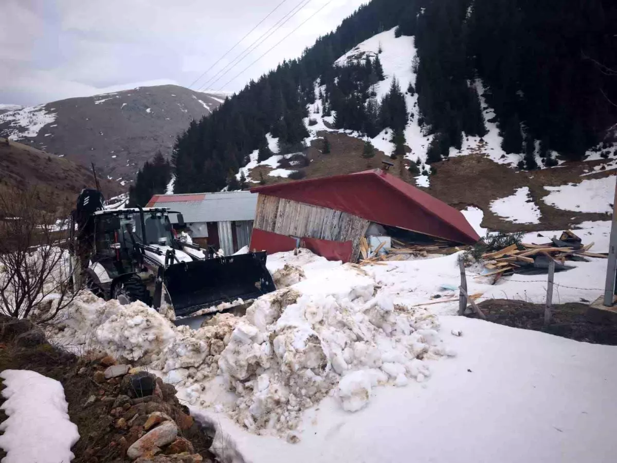 Ordu\'da çığ düşmesi sonucu ahşap ev zarar gördü