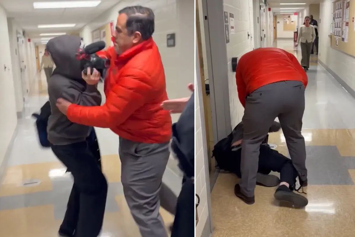 Profesöre bak sen! Belgesel çeken gazeteciyi böyle darbetti