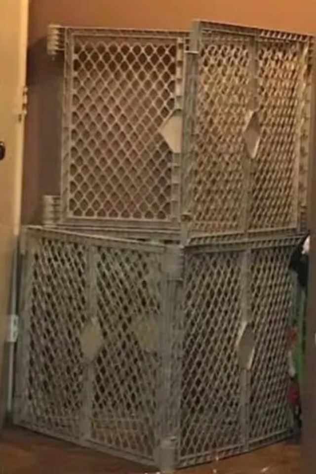 Teksas'ta dehşet evi: Evlatlık çocuklarını kafese kapatan anneye 80 yıl hapis Teksas'ta dehşet evi: Evlatlık çocuklarını kafese kapatan anneye 80 yıl hapis