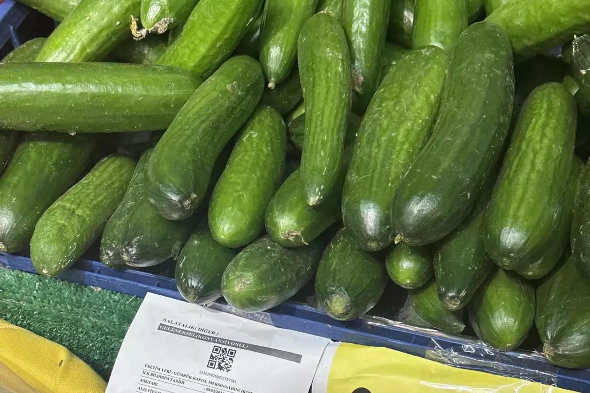 Bu nasıl bir kar marjı? 129 TL\'ye satılan salatalığın alış fiyatı isyan ettirdi