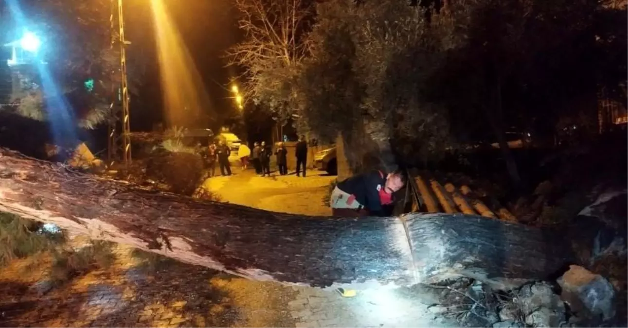 Hatay\'da Fırtına Ağaç Devrildi
