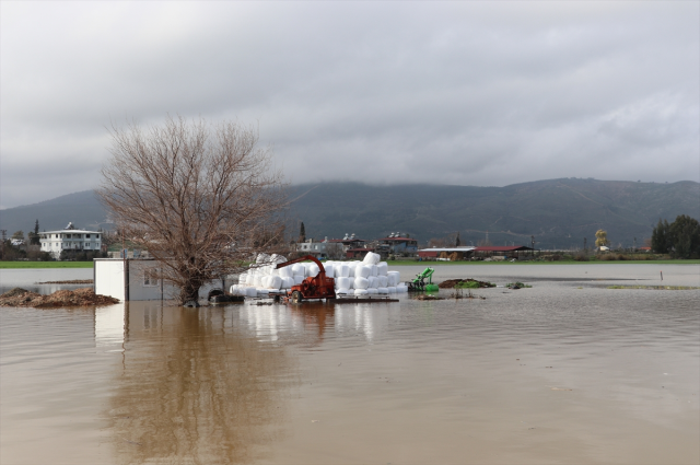 Hatay'da sağanak yağış tarım arazilerini vurdu