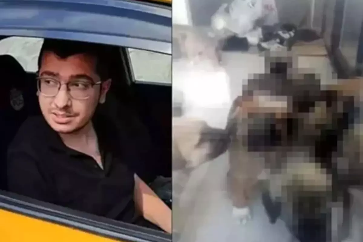 Köpeklere yaptıkları kan dondurmuştu! Sapık doktorun cezası düşürüldü