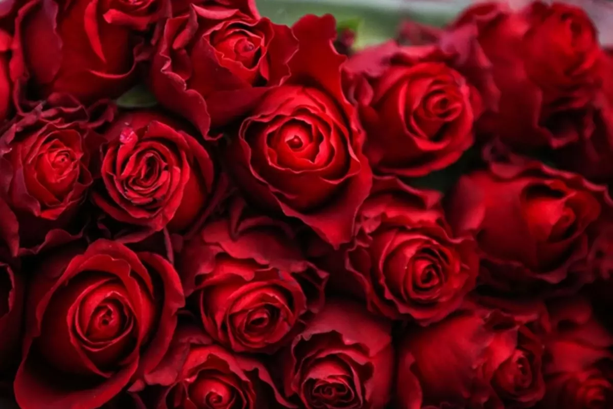 Yıllar önceki olay yeniden gündemde! Dünyaca ünlü isim Sevgililer Günü\'nde 3 farklı kadına çiçek yollamıştı