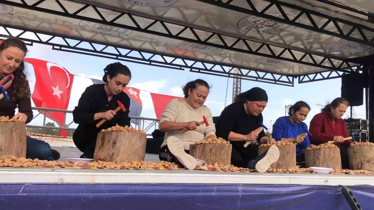 Datça 7. Badem Çiçeği Festivali sona erdi