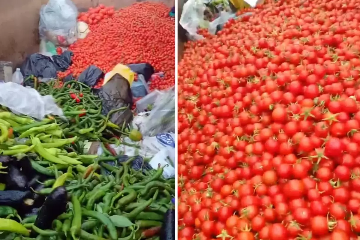 Sapasağlam sebzeleri çöpe attılar