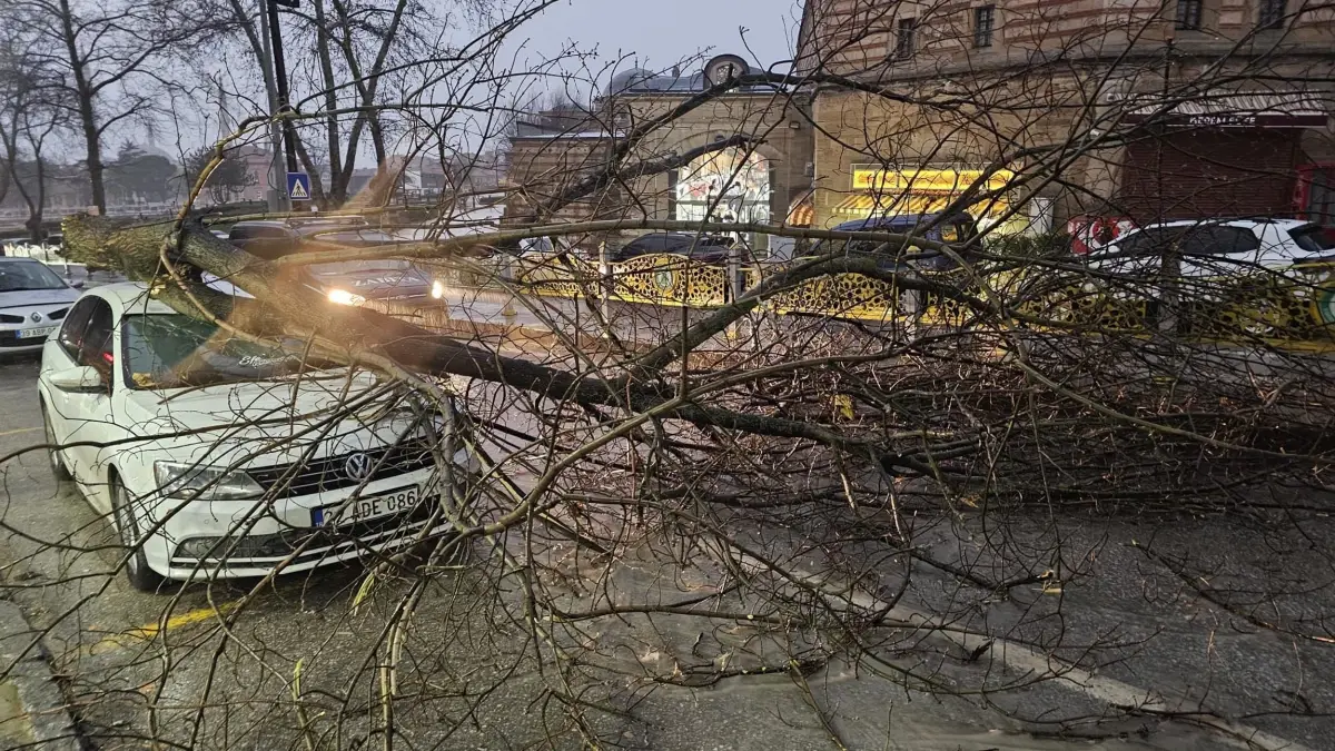 Edirne\'de Fırtına: Ağaçlar Devrildi, Araçlar Hasar Gördü
