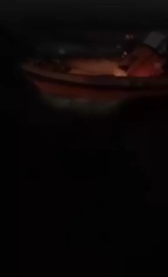 Panik Anları! Vapur Yolcusu Denize Düştü, Sahil Güvenlik Harekete Geçti