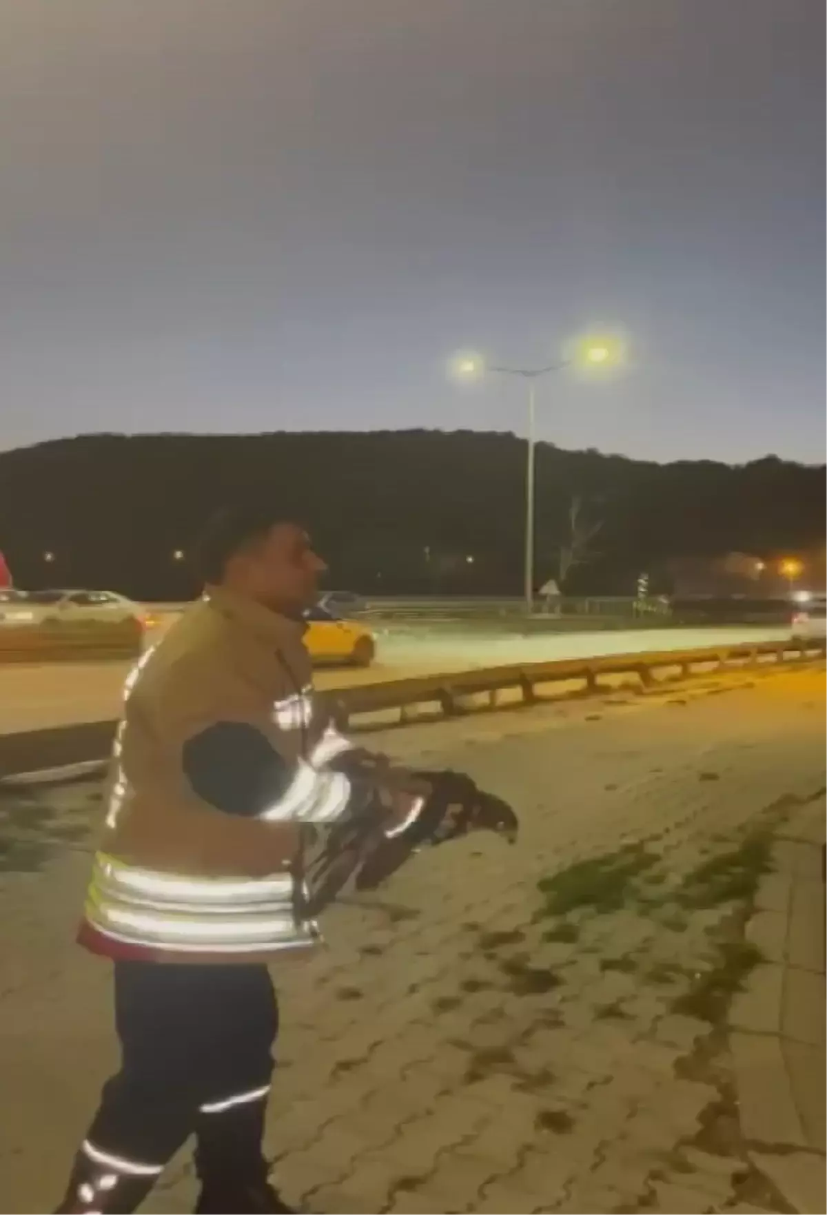 Karaçay\'da Şahin Kurtarıldı