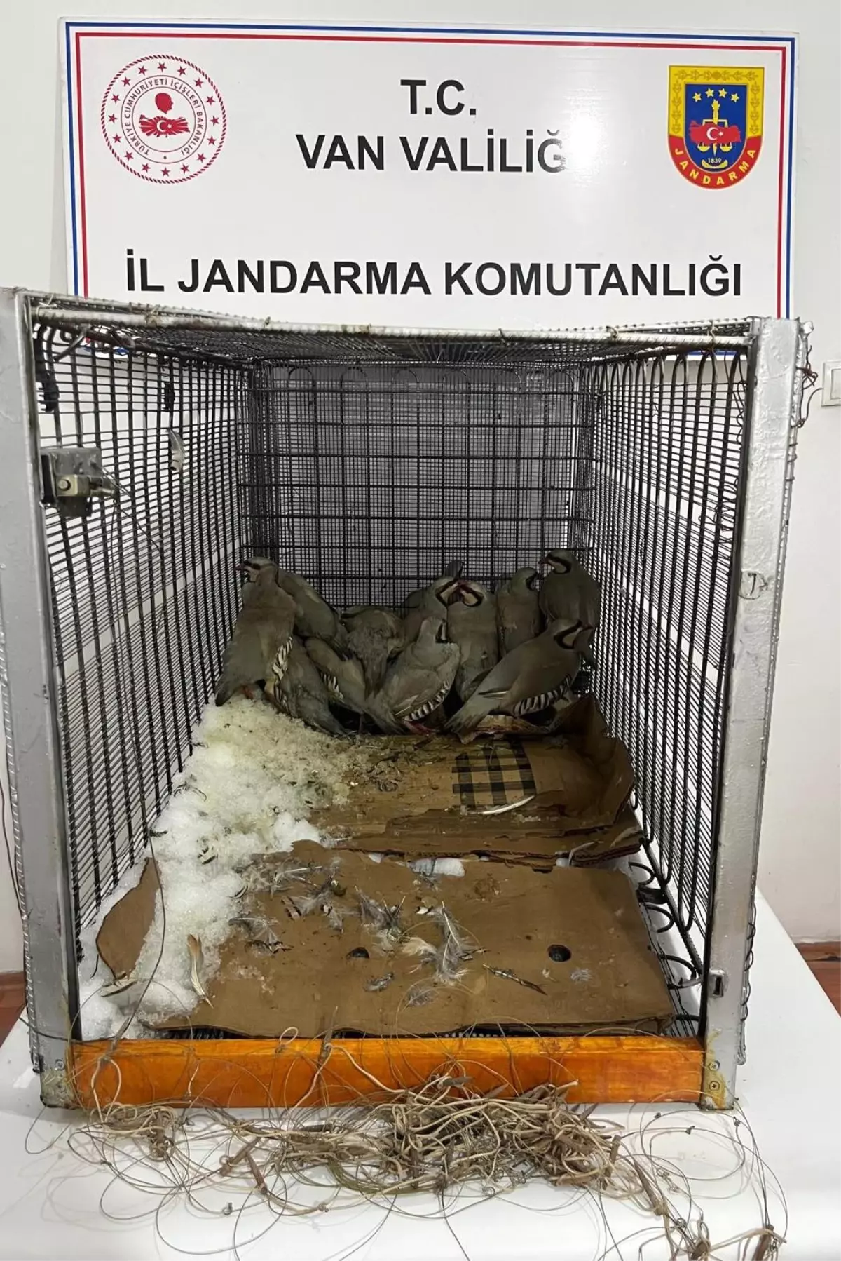 Kaçak Keklik Avına 75 Bin TL Ceza