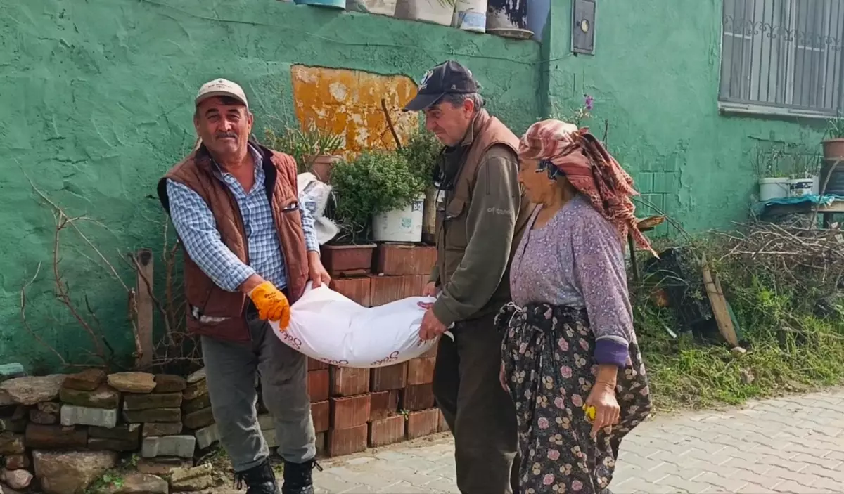 Aydın\'da İlk Leylek Görüldü