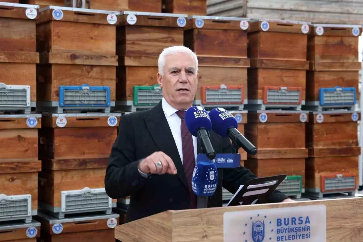 Büyükşehir\'den arıcılara kovan desteği