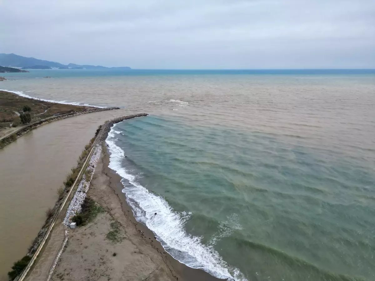 Mersin\'de Akdeniz Kahverengiye Büründü