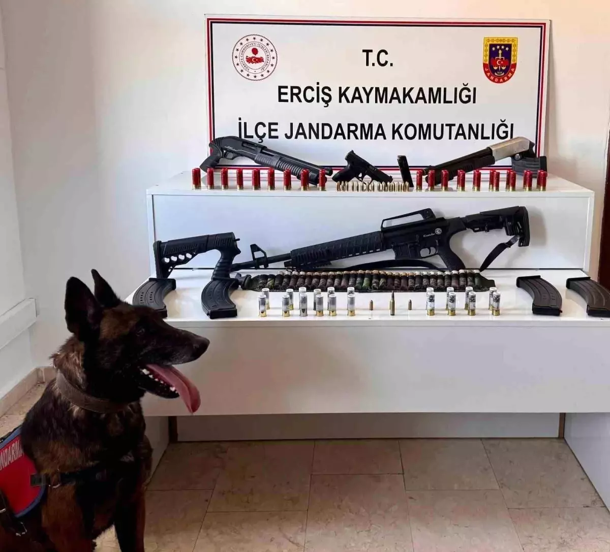 Erciş\'te Silah Operasyonu: 2 Gözaltı