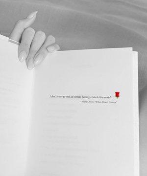 Hakkında yakalama kararı olan Şevval Şahin'den dikkat çeken kitap paylaşımı