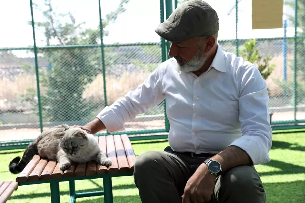 Kayseri\'de ilk ve tek küçük dostları Kedi Kasabası, ziyaretçi rekoru kırıyor