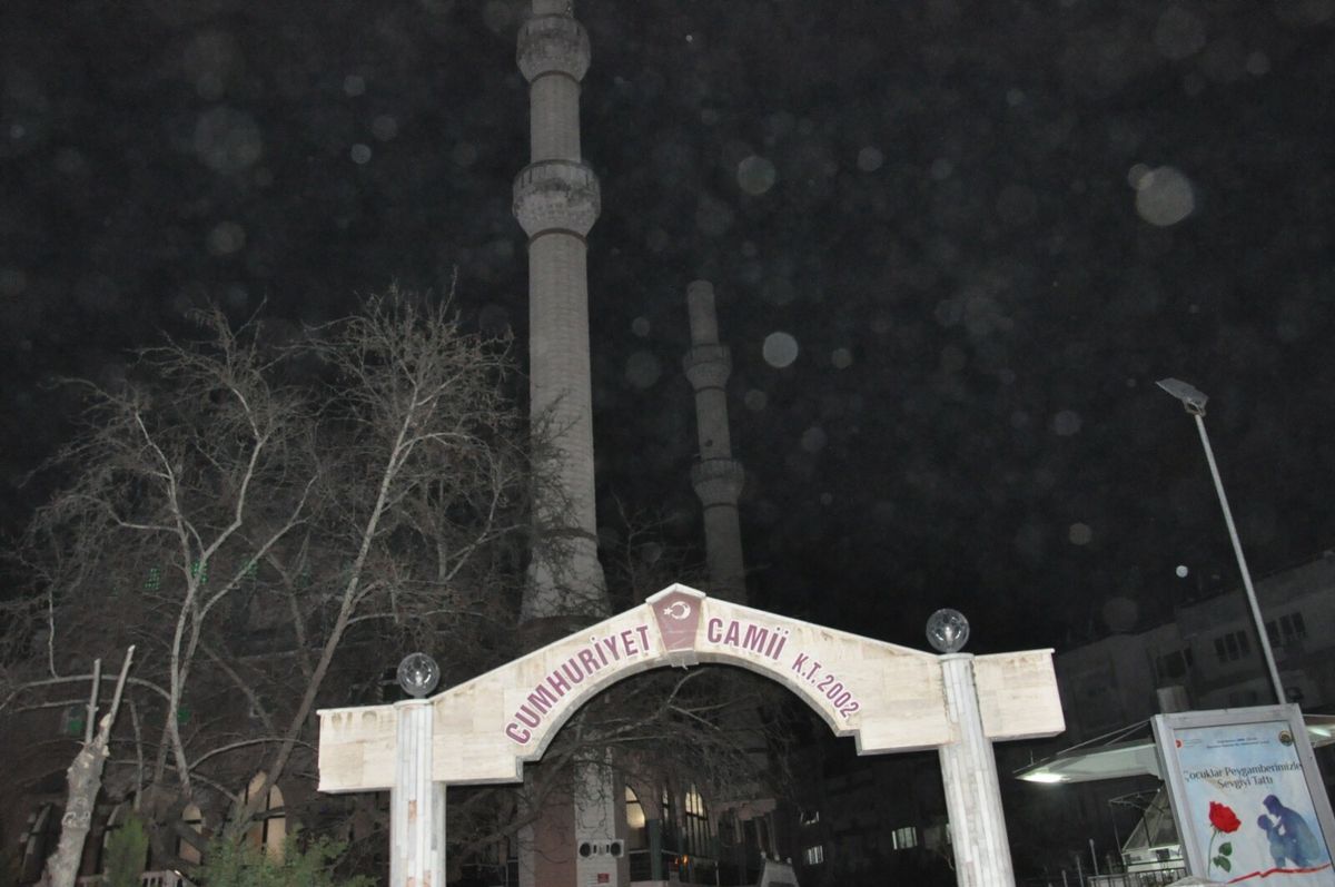 Salihli\'de Şiddetli Rüzgar Ağaçları Devirdi