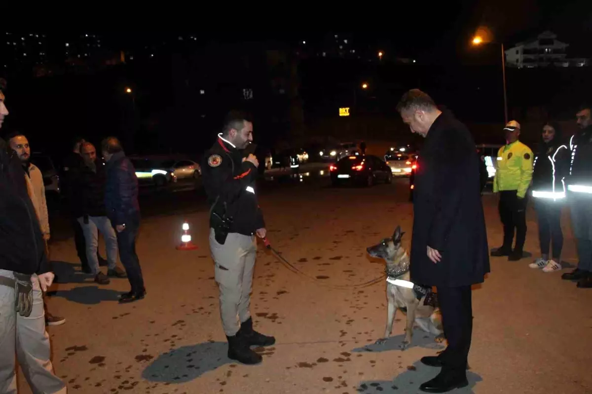 Şırnak\'ta Narko Alan Uygulaması