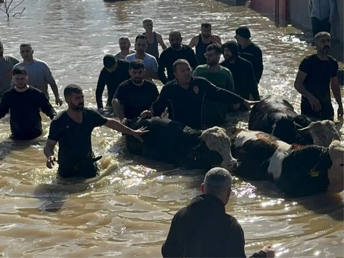 Taşan Gediz Nehri dolayısıyla mahsur kalan 44 kişi ve 127 hayvan kurtarıldı