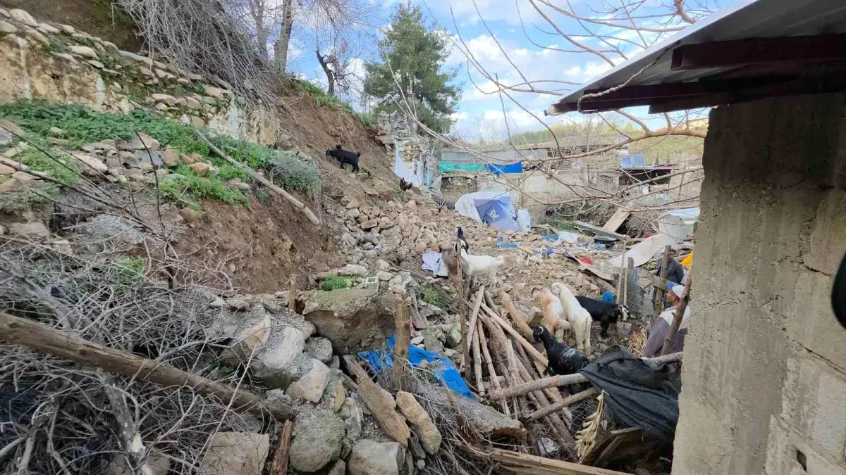 Hatay\'da Aşırı Yağış Hayvanlara Zarar Verdi