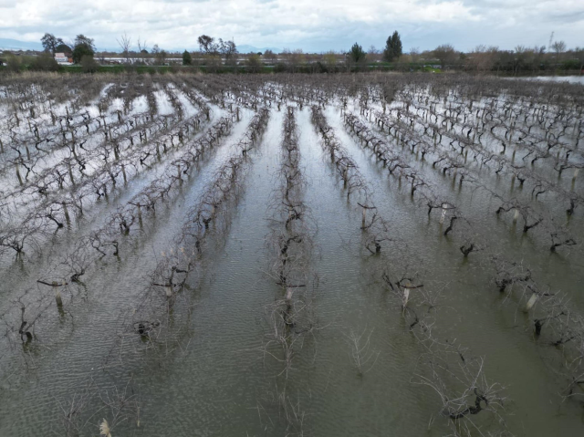 Gediz Nehir taştı; su altında kalan ova dronla görüntülendi