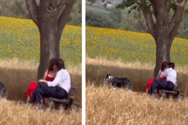 Masumiyet Müzesi dizisindeki öpüşme sahnesine köy sakininden yorum geldi