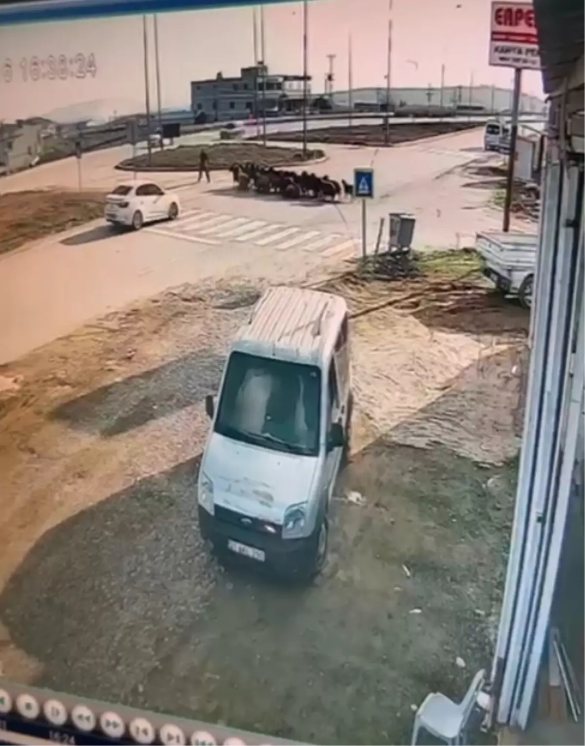 Hatay\'da Otomobil Keçi Sürüsüne Çarptı