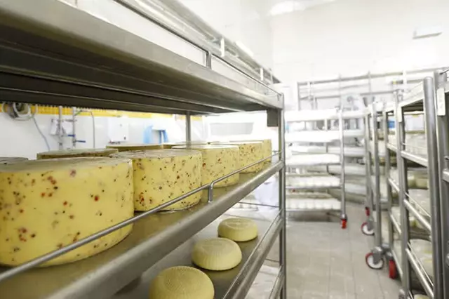 Türkiye'nin gıda devinde üretim durdu, fabrika satışa çıkarıldı Türkiye'nin gıda devinde üretim durdu, fabrika satışa çıkarıldı