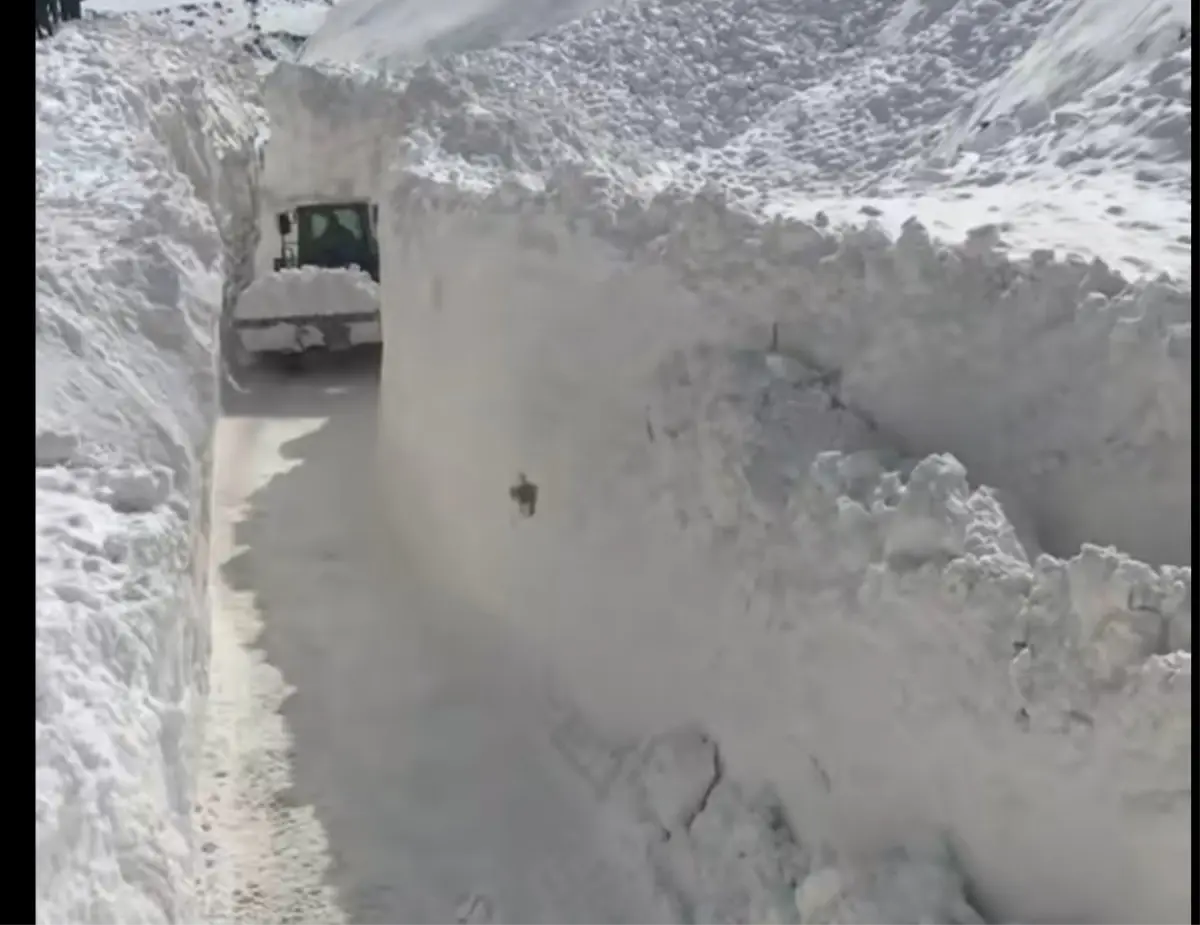 Başkale\'de Çığlar Yolu Kapattı