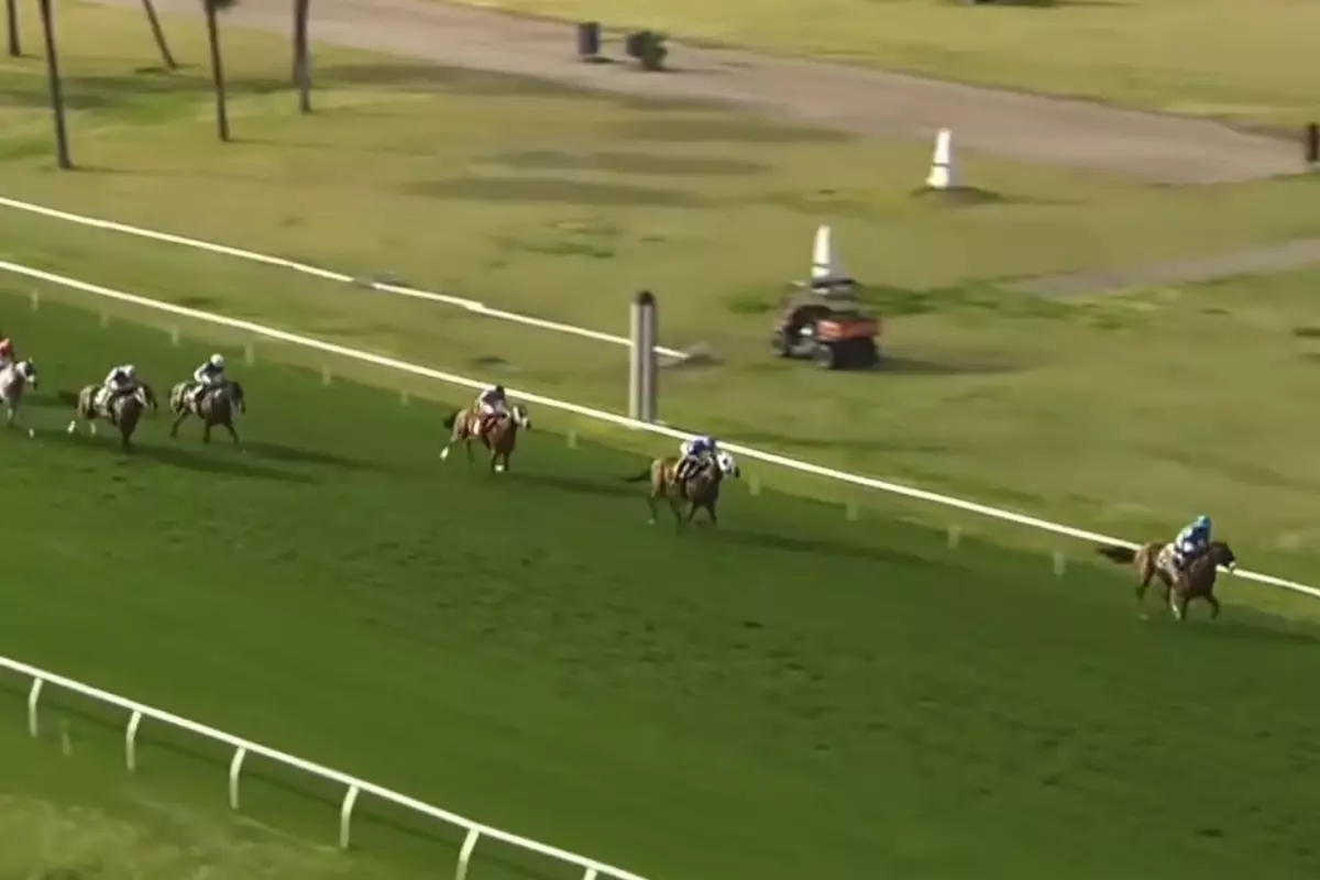 Bir at yarışı spikerinin, \'\'Mister Mmmmm\'\' adlı yarış atını anlattığı anlar viral oldu