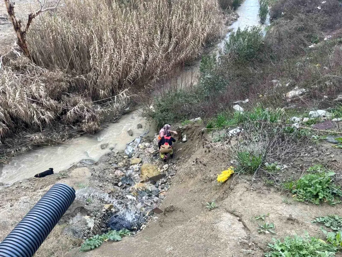 Dere yatağına düşen oğlağı kurtarmak isteyen kadın mahsur kaldı