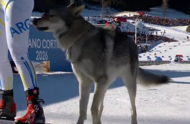 Dev organizasyonun önüne geçen görüntü Dev organizasyonun önüne geçen görüntü