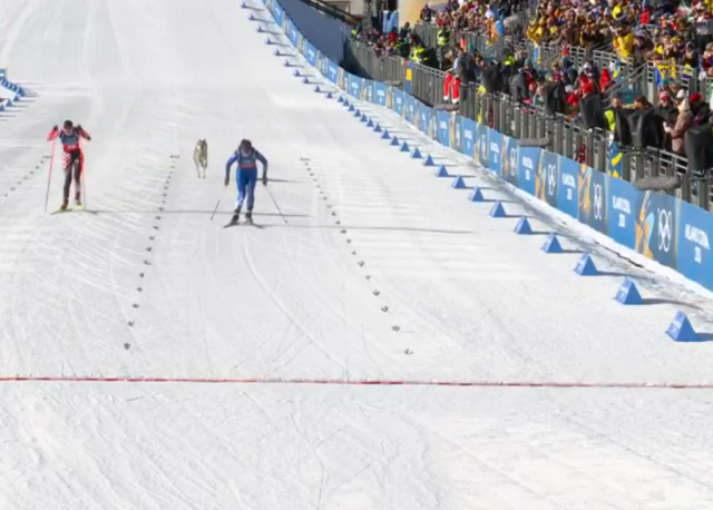 Dev organizasyonun önüne geçen görüntü Dev organizasyonun önüne geçen görüntü