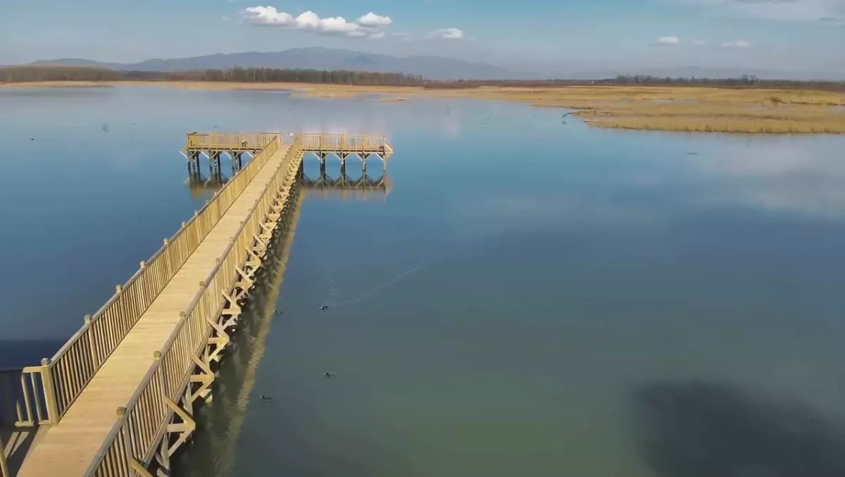 Efteni Gölü\'nde Üç Kuğu Misafiri