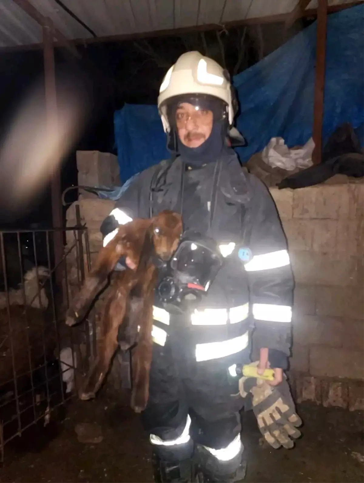 Hatay\'da ahırda korkutan yangın