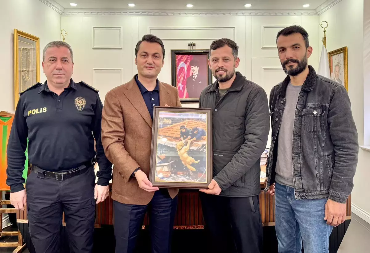 Alanya\'da Köpek Kurtarma Anları Viral Oldu