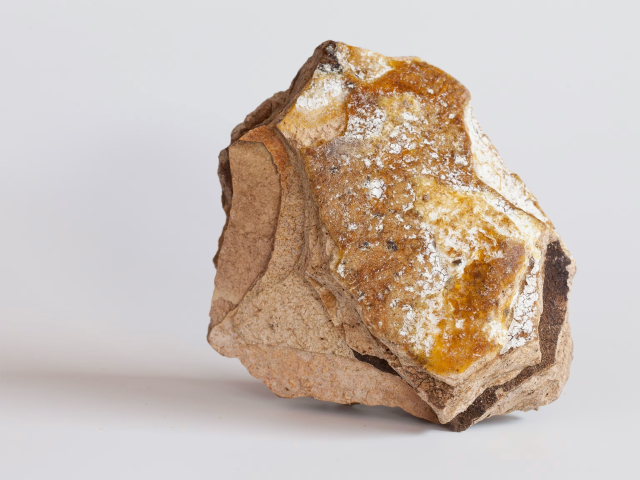 Sahillerde milyarlık hazine! Gören sıradan bir taş sanıyor, bulan köşeyi dönüyor