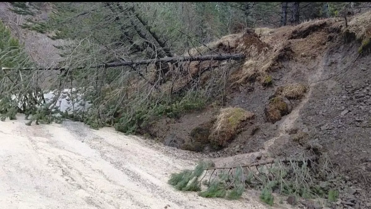 Akdağ\'da Heyelan: Ağaçlar Devrildi