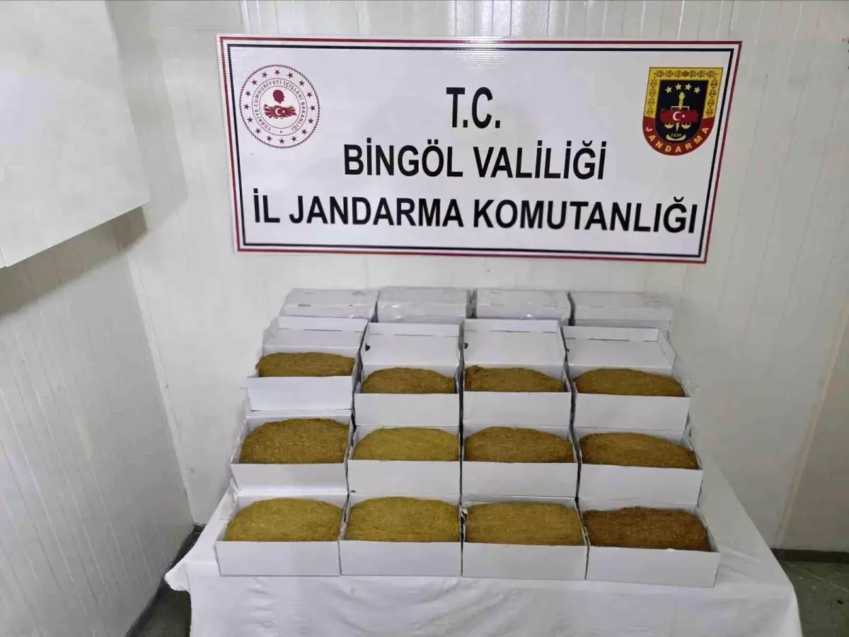 Bingöl\'de Jandarma Operasyonu: 6 Şüpheli Yakalandı