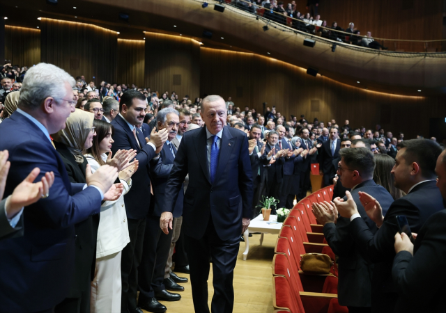 Cumhurbaşkanı Erdoğan'dan Milas'taki zeytin ağacı katliamına sert tepki: İzin vermeyeceğiz